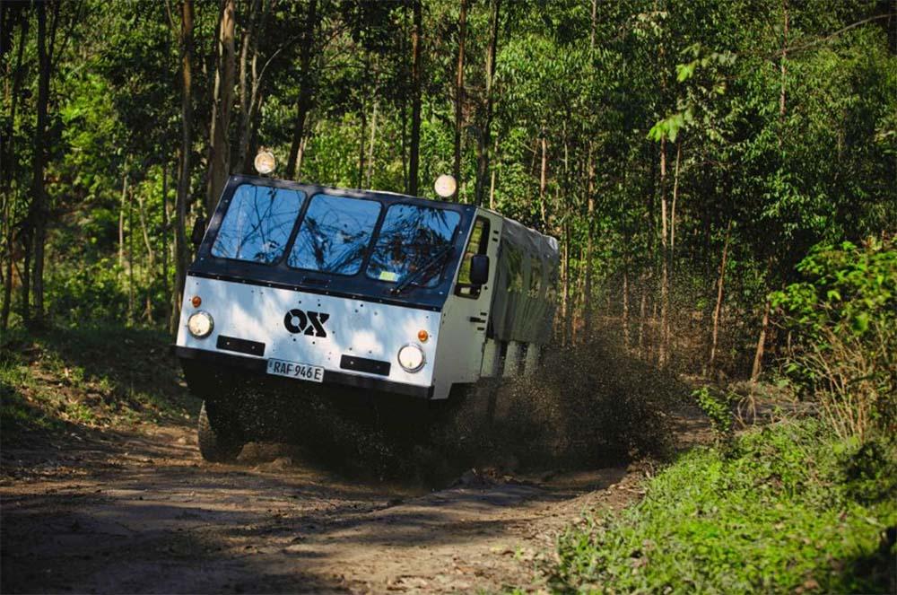 Ox Delivers truck driving through forest