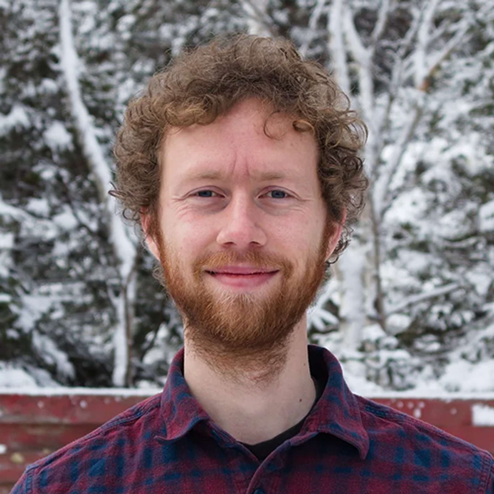 immagine dell'autore