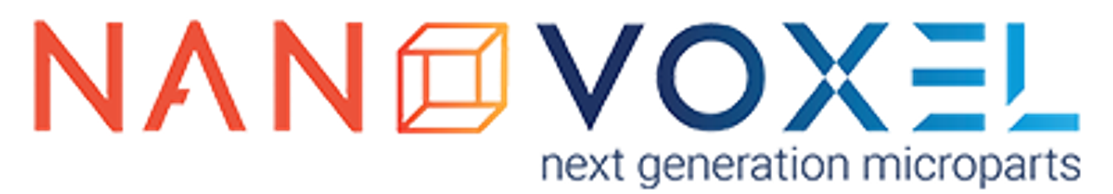 NanoVoxel Logo