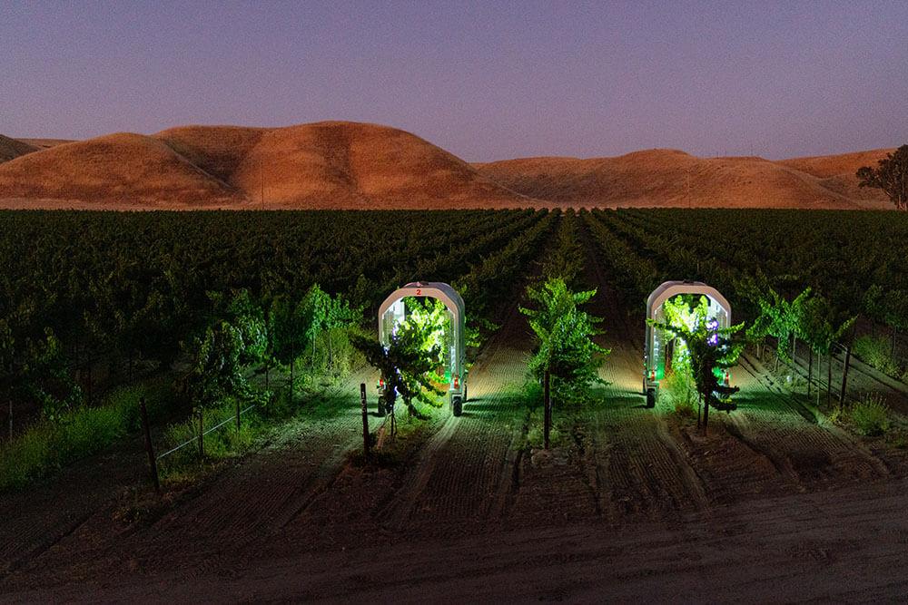 Saga Robotic’s Thorvald robot applying UV-C treatment to crops