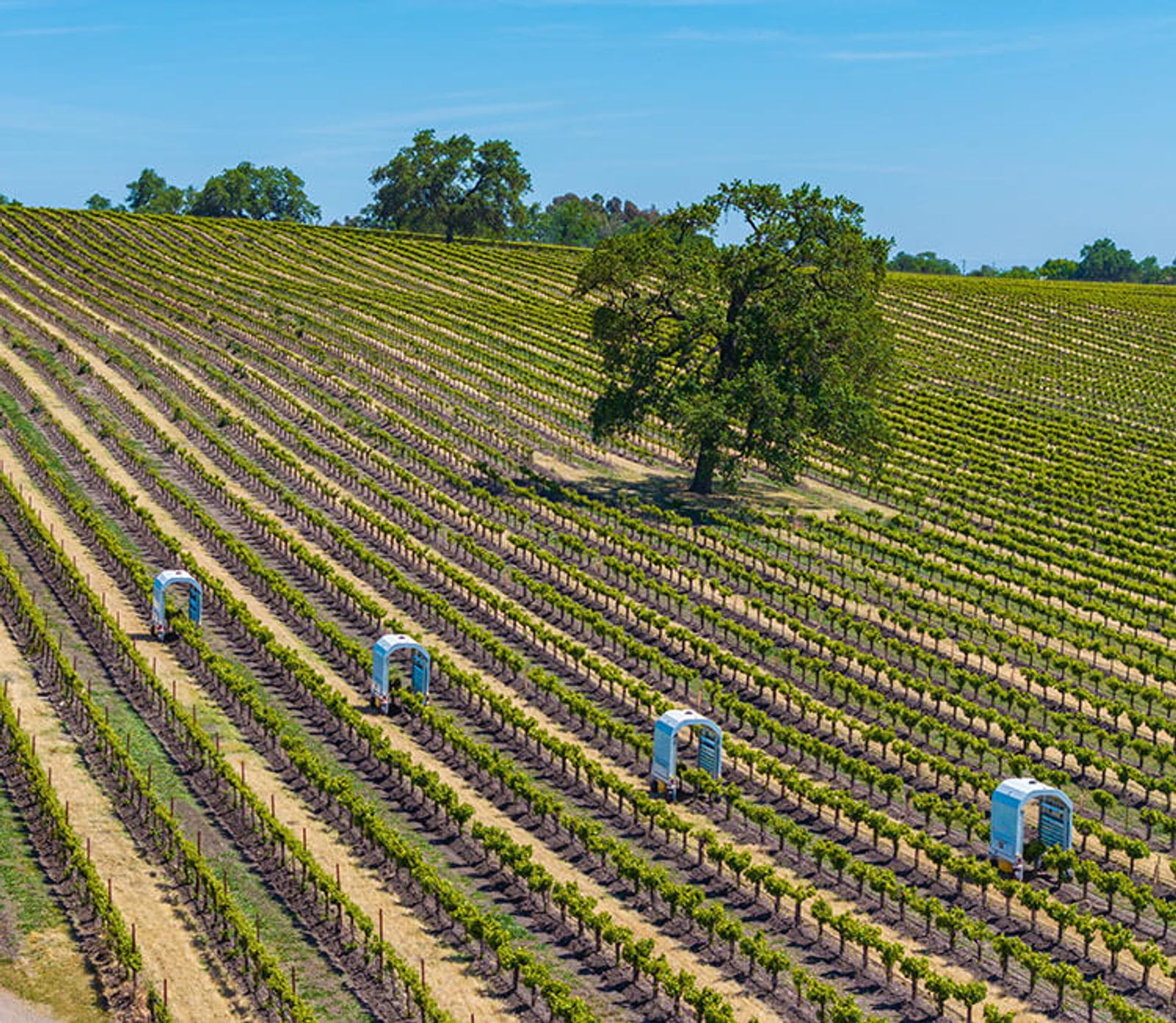 Thorvald robots treating vineyards, crops, and farms