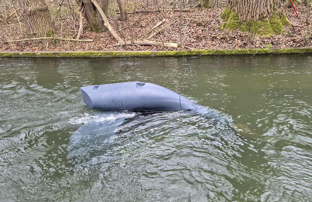 The Energyfish in the river