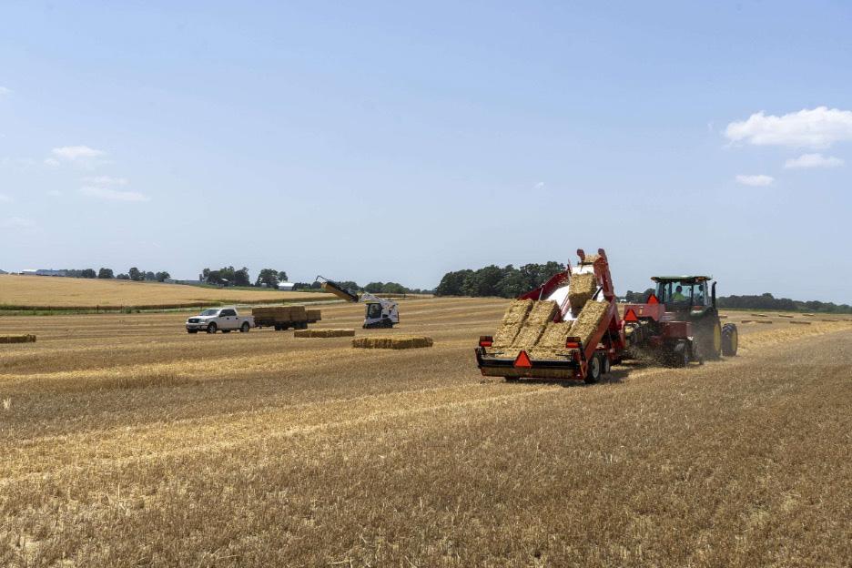 Norden bale accumulator in field